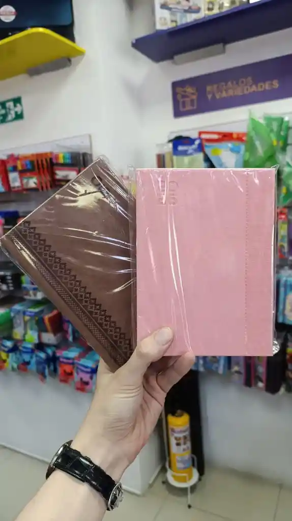 Agenda Planeador Junior 2026