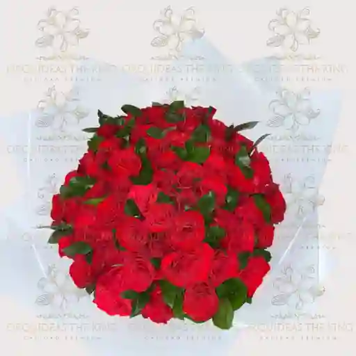 Flores Rosas Deluxe X 60 Und