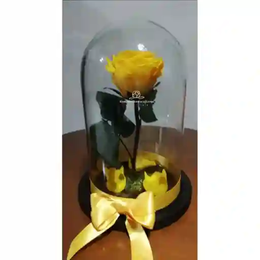 Rosa Inmortalizada Amarilla En Cupula