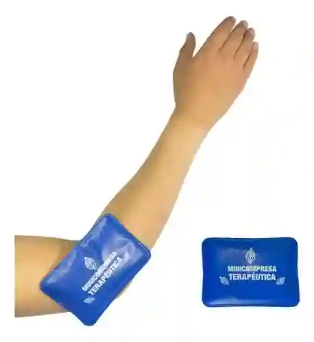 Compresa Gel Pequeña X 2 Und