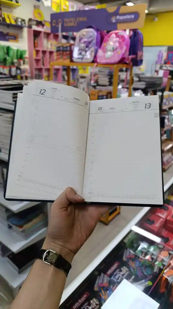 Agenda Planeador Maestro