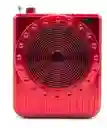 Parlante Megáfono Nia An-302bt - Bluetooth, Radio Fm Y Usb