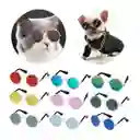 Gafas Para Gatos Gafas Redondas Para Mascotas