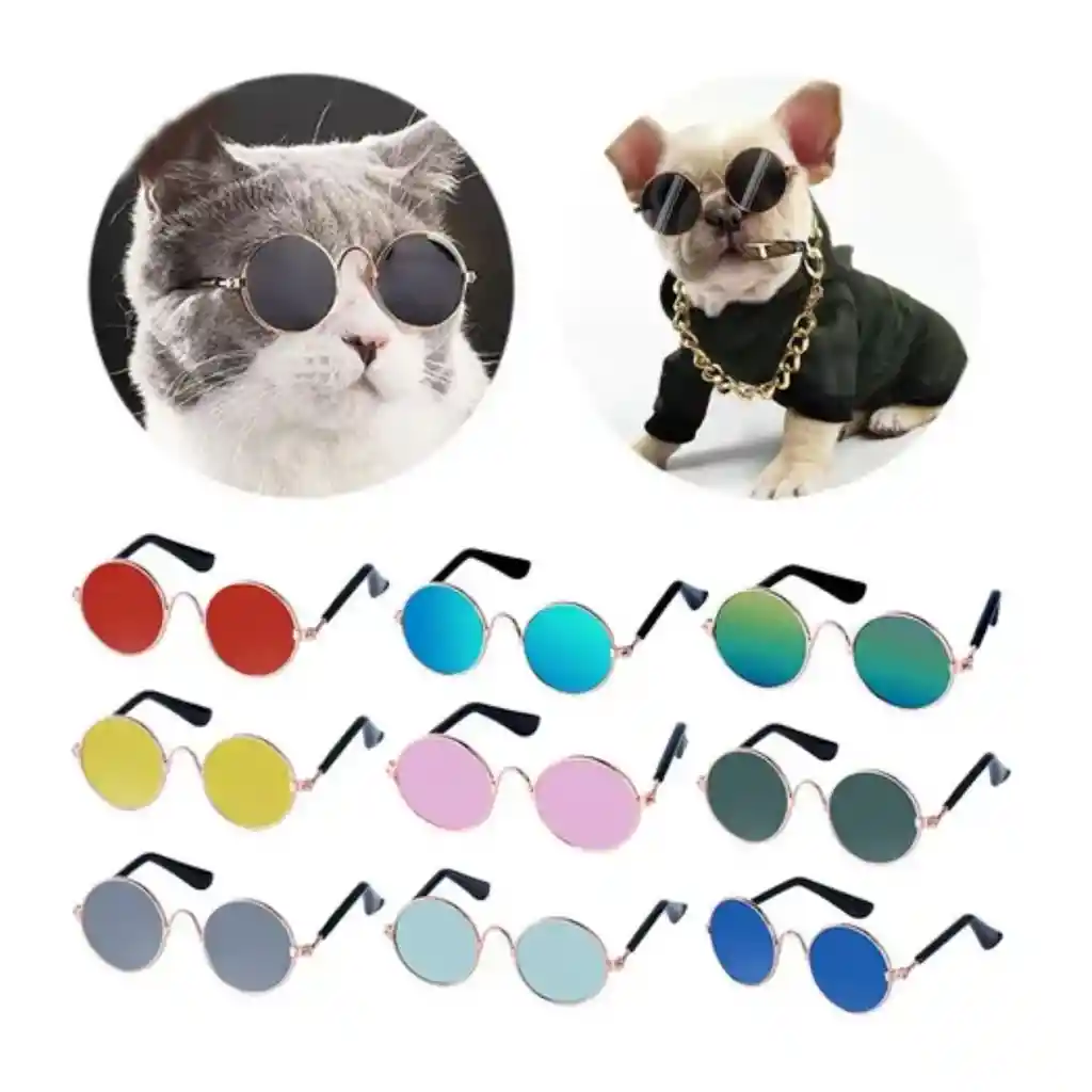 Gafas Para Gatos Gafas Redondas Para Mascotas