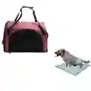 Morral Cargador Cabina Mediano + 15 Unidades De Tapetes Vinotinto