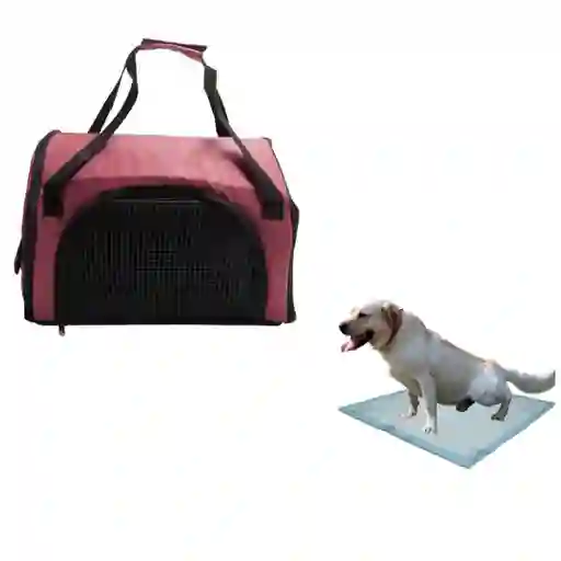 Morral Cargador Cabina Mediano + 15 Unidades De Tapetes Vinotinto