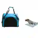Morral Cargador Cabina Mediano + 15 Unidades De Tapetes Celeste