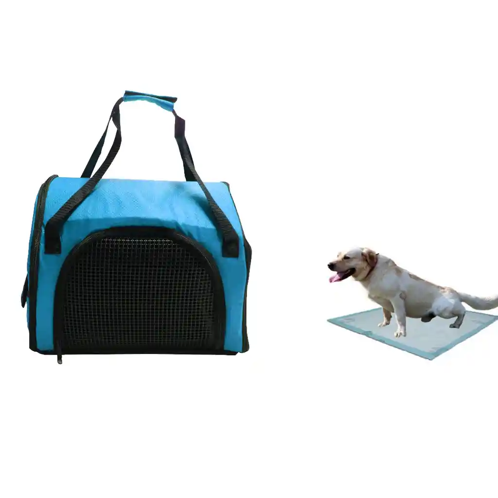 Morral Cargador Cabina Mediano + 15 Unidades De Tapetes Celeste