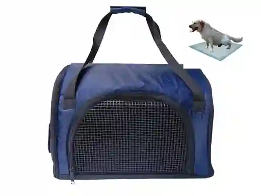 Morral Cargador Cabina Mediano + 15 Unidades De Tapetes Azul Oscuro