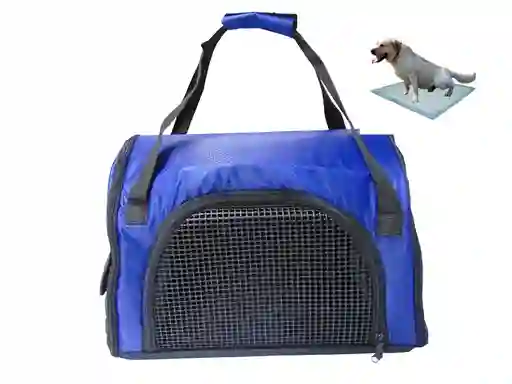 Morral Cargador Cabina Mediano + 15 Unidades De Tapetes Azul Claro