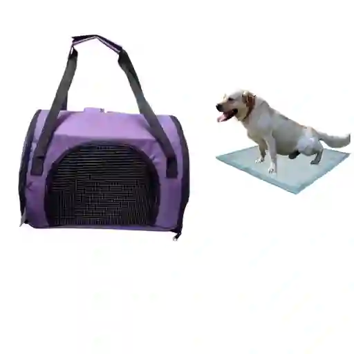 Morral Cargador Cabina Mediano + 15 Unidades De Tapetes Morado