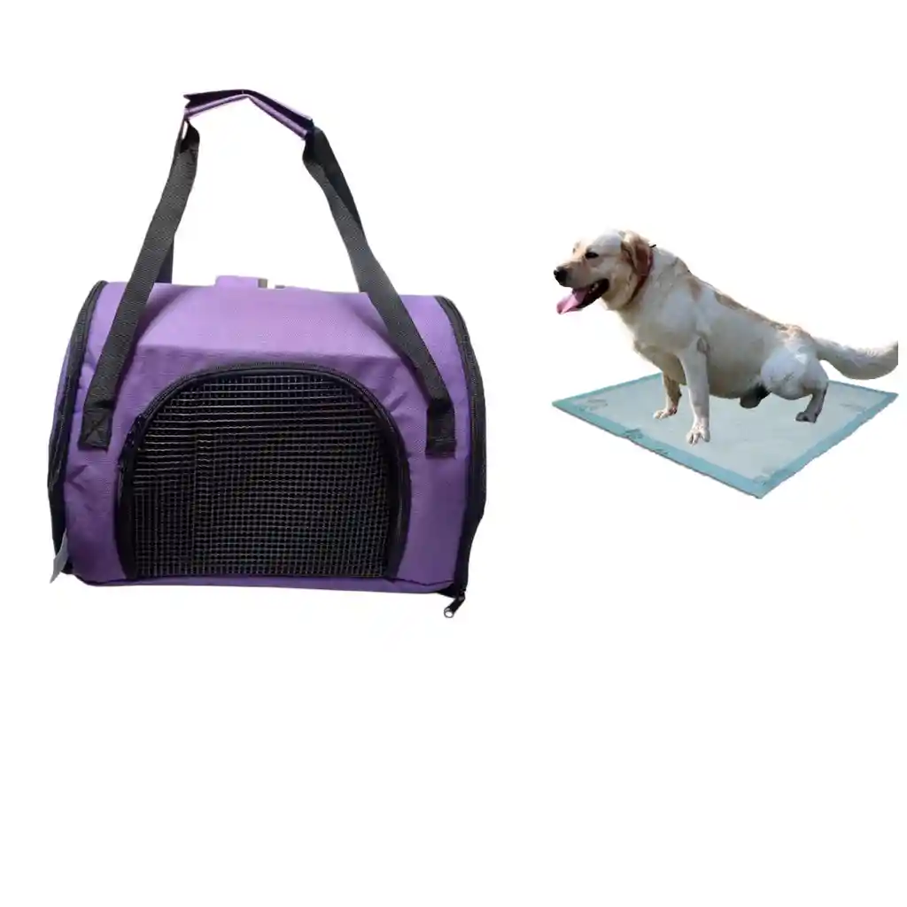 Morral Cargador Cabina Mediano + 15 Unidades De Tapetes Morado