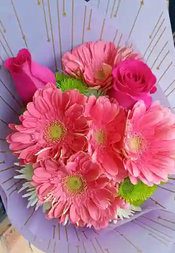 Ramo Gerberas