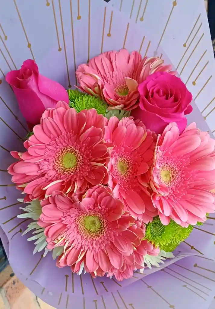 Ramo Gerberas