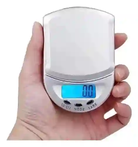 Báscula Digital Gynipot 0,1g-500g, Balanza Portátil, Joyas, Monedas, Cocina..