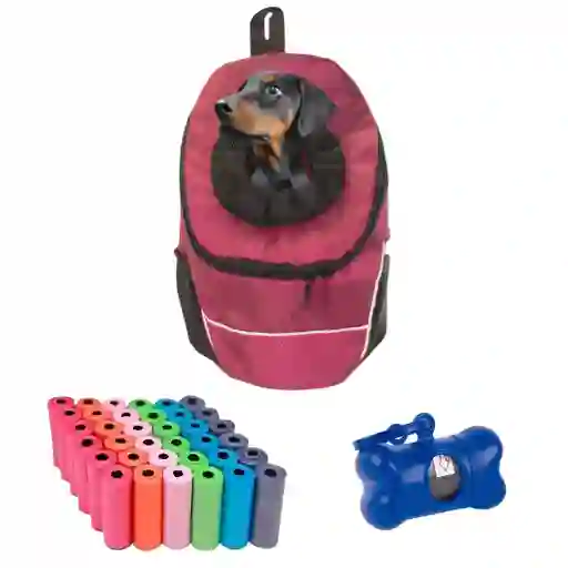 Morral Cargador Ventana Mediano + Dispensador + 20 Rollos Vinotinto