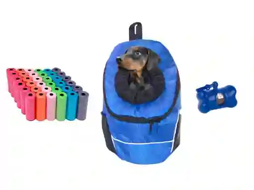 Morral Cargador Ventana Mediano + Dispensador + 20 Rollos Azul Claro