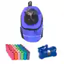 Morral Cargador Ventana Mediano + Dispensador + 20 Rollos Morado