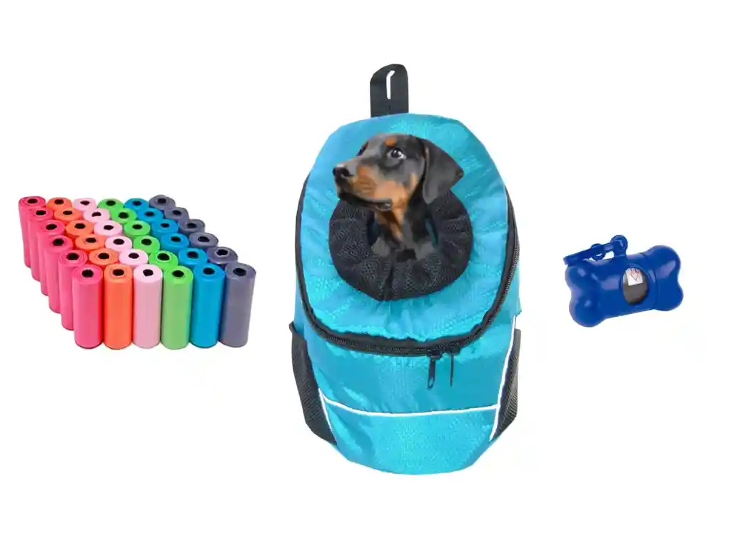 Morral Cargador Ventana Mediano + Dispensador + 20 Rollos Celeste