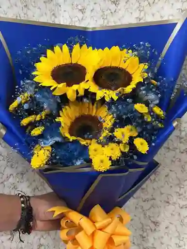Ramo Van Gogh