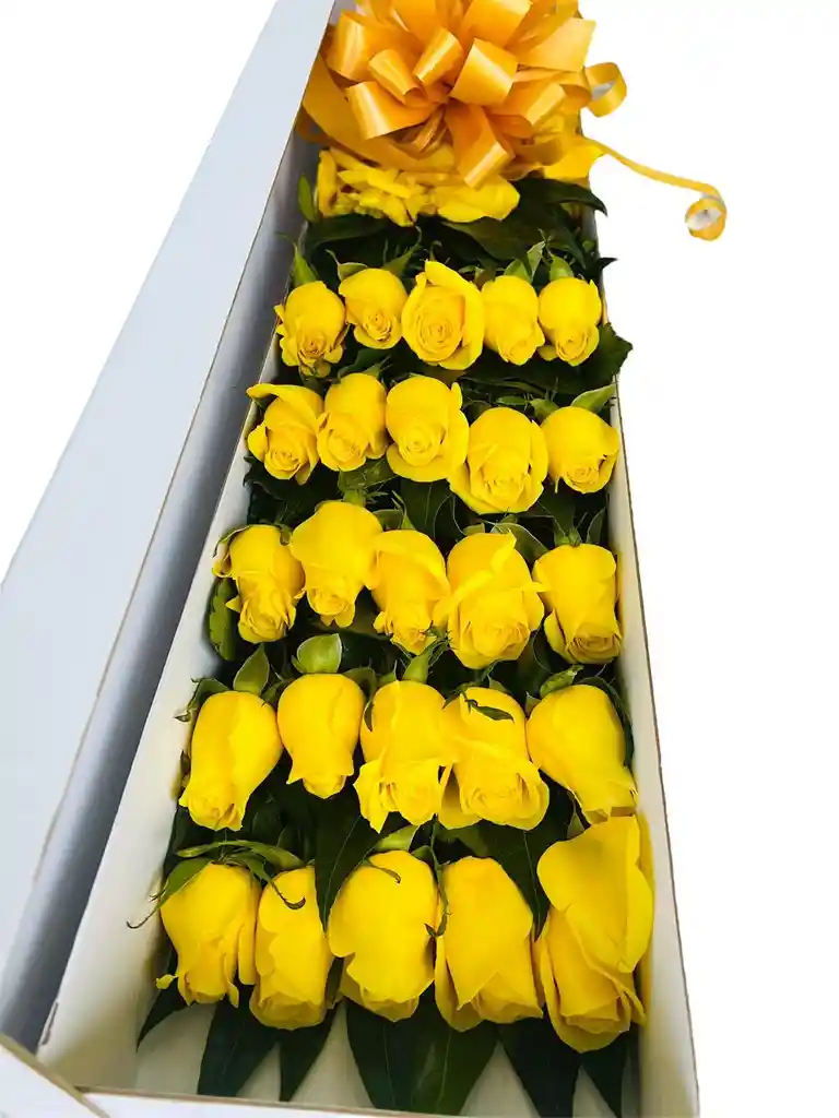 Caja De Rosas Tradicional