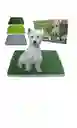 Tapete Entrenamiento Perros Potty Patch