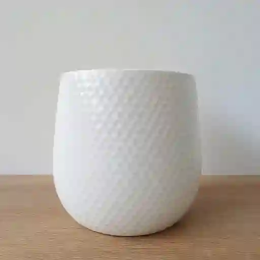 Maceta Blanca Para Orquídea