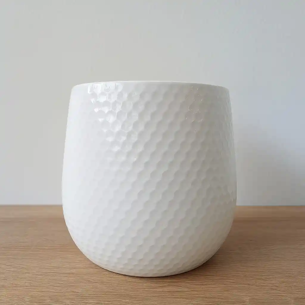Maceta Blanca Para Orquídea
