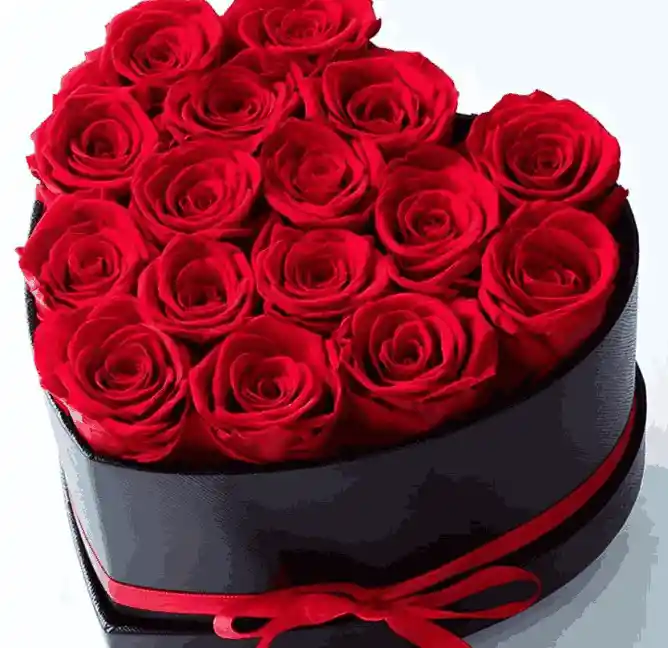Rosas De Amor