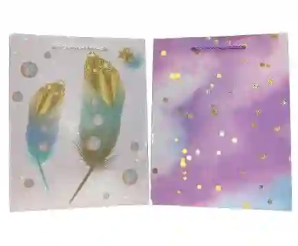 Bolsa De Regalo Cartulina Lisa Fina Talla M