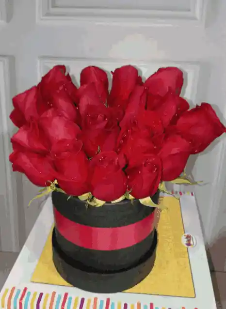Rosas De Pasión