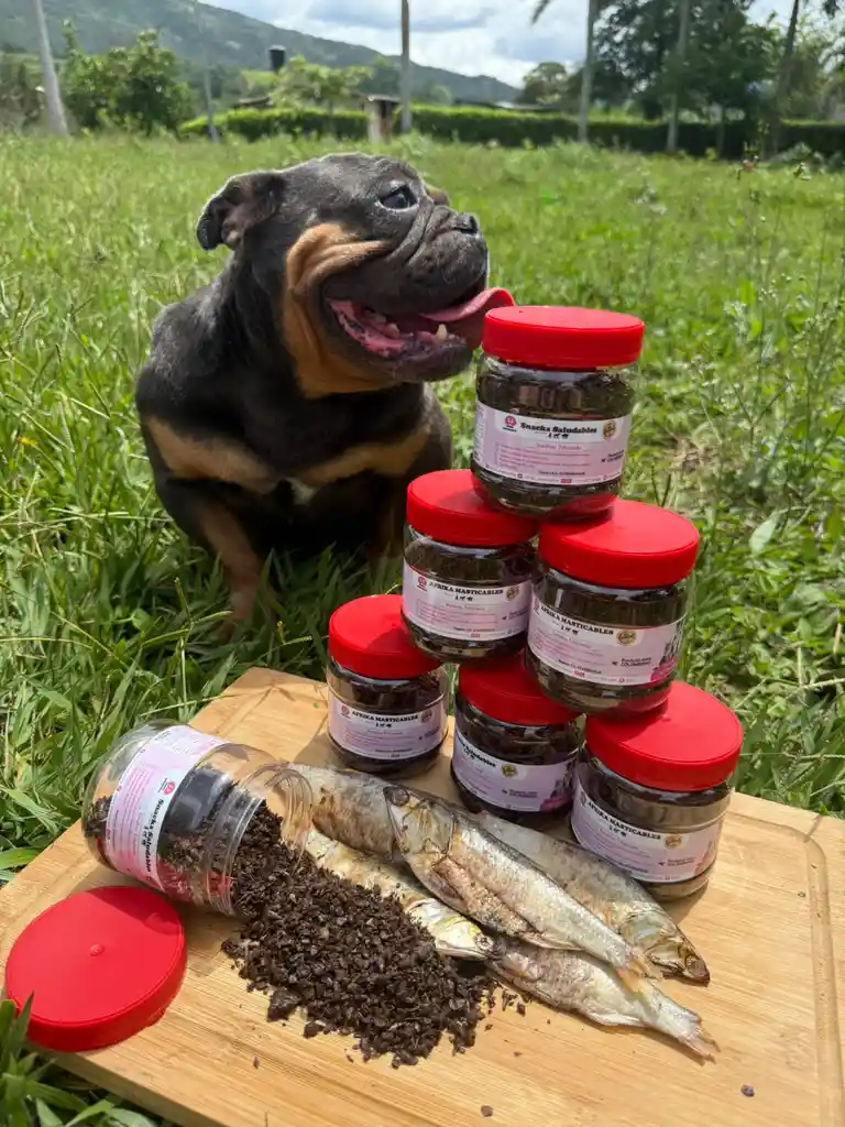 Omega 3 Para Gatos Y Perros Alimento Deshidratado Para Gatos Y Perros