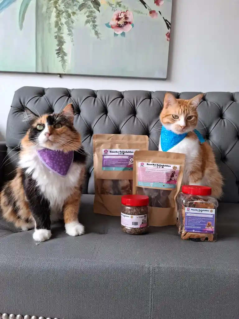 Omega 3 Para Gatos Y Perros Alimento Deshidratado Para Gatos Y Perros