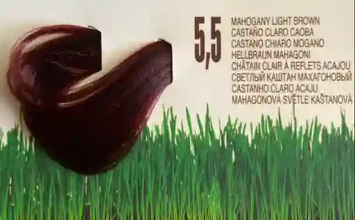 Tinte Biokera Sin Amoníaco 5.5 – Castaño Claro Caoba 💇‍♀️🌿