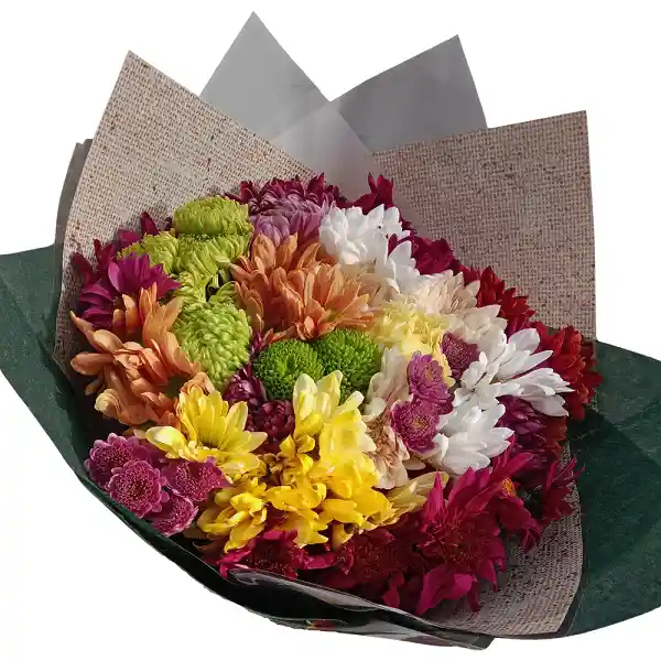 Flores Arreglo De Margaritas Multicolor