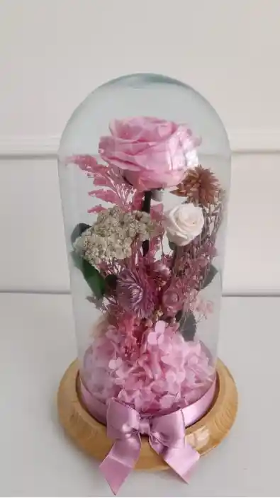 Rosa Eterna