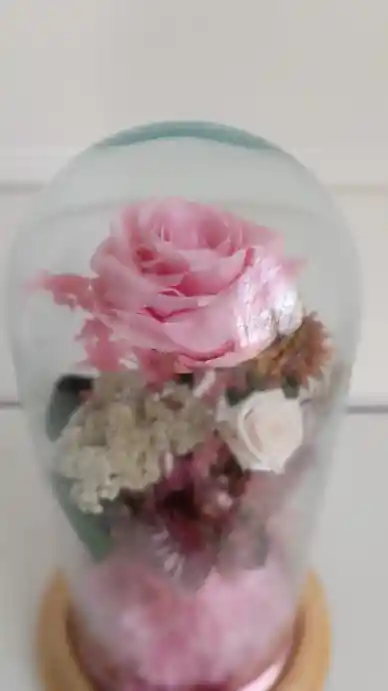 Rosa Eterna