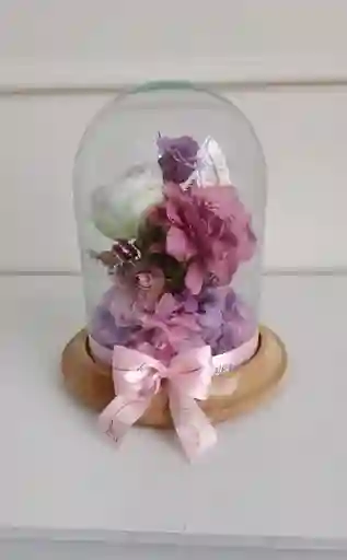 Rosa Eterna Luxury