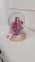 Rosa Eterna Luxury