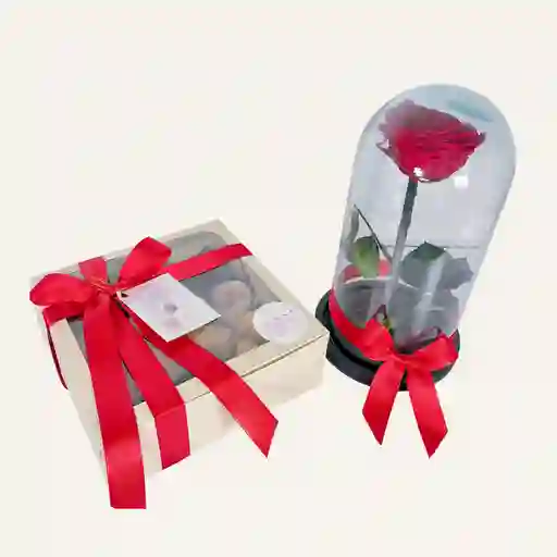 Regalo De Amor, Cupula De Rosa Eterna Roja De 30 Cm + Caja X 16 Fresas Con Chocolate