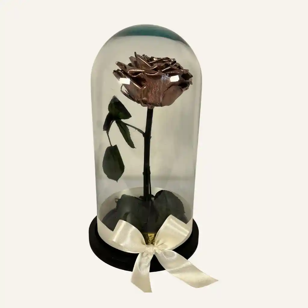 Cupula De Rosa Eterna Champaña De 30 Cm Mas Caja X 16 Fresas Con Chocolate