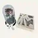 Cupula De Rosa Eterna Champaña De 30 Cm Mas Caja X 16 Fresas Con Chocolate