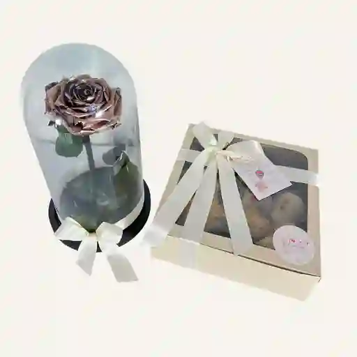 Cupula De Rosa Eterna Champaña De 30 Cm Mas Caja X 16 Fresas Con Chocolate