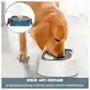 Bebedero Plato Para Mascotas Perro Gato Portatil Antiderrame