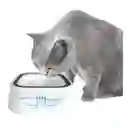 Bebedero Plato Para Mascotas Perro Gato Portatil Antiderrame
