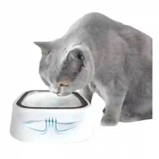 Bebedero Plato Para Mascotas Perro Gato Portatil Antiderrame
