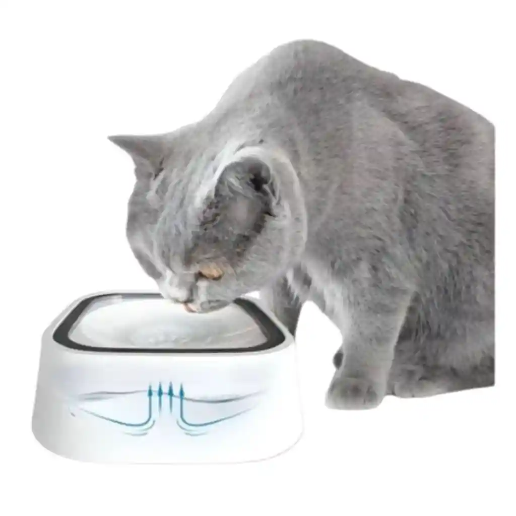Bebedero Plato Para Mascotas Perro Gato Portatil Antiderrame