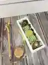 Caja Económica Acetato Con Fresas Dubai - Con Crema De Pistacho Y Chocolate