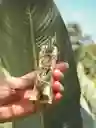 Palo Santo