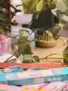 Inciensos